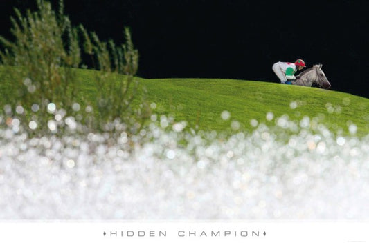 HIDDEN CHAMPION - Ansicht 2