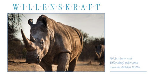 WILLENSSTÄRKE Grußkarte Nashorn - Ansicht 2