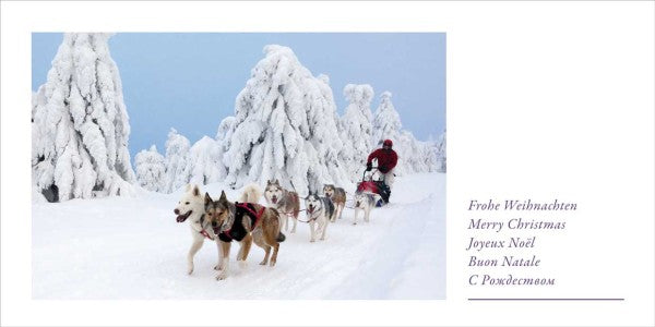 Grußkarte FROHE WEIHNACHTEN 20er Set - Ansicht 3