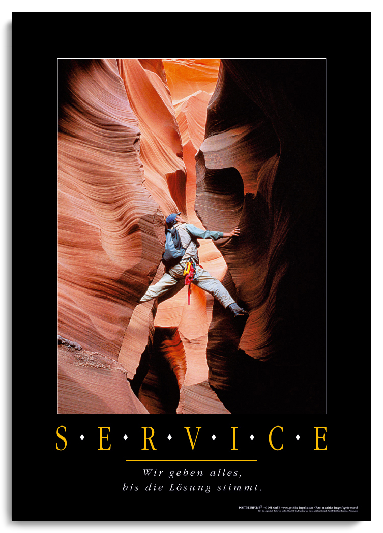 SERVICE kaufen