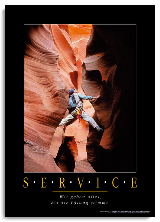 SERVICE kaufen
