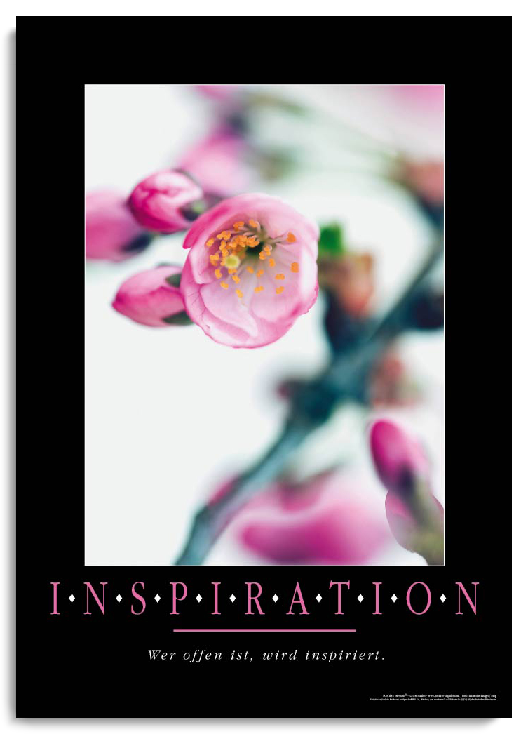 INSPIRATION kaufen