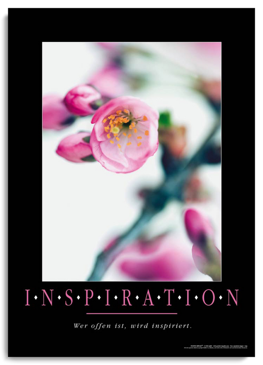 INSPIRATION kaufen