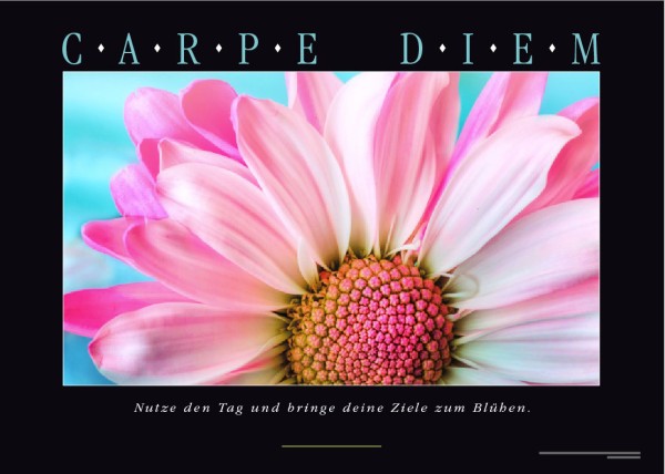 CARPE DIEM Motivationsposter - Ansicht 2