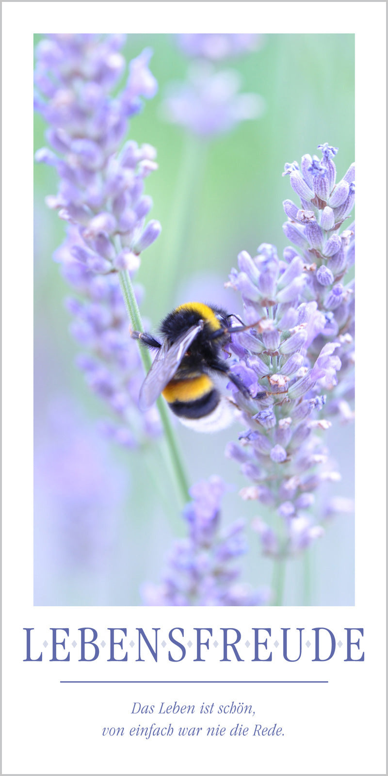 Grußkarte LEBENSFREUDE - Motiv Hummel kaufen