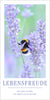 20 Grußkarten LEBENSFREUDE - Motiv Hummel