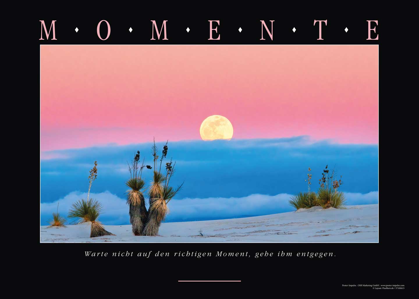 Positive MOMENTE Leinwandbild kaufen