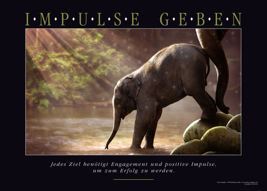 IMPULSE GEBEN Motivationsposter kaufen