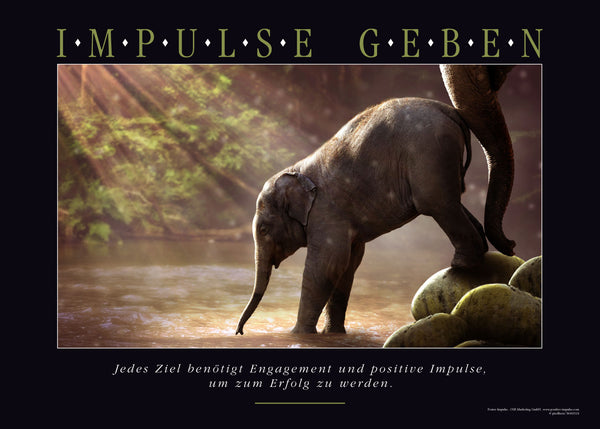 Motivationsposter IMPULSE GEBEN