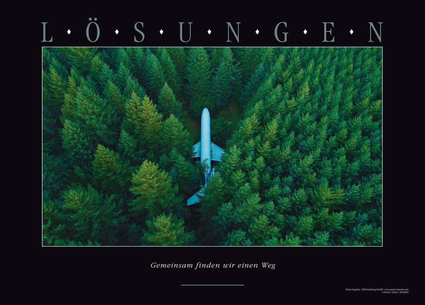 LÖSUNGEN - Motivationsposter mit Motiv Jet im Wald kaufen