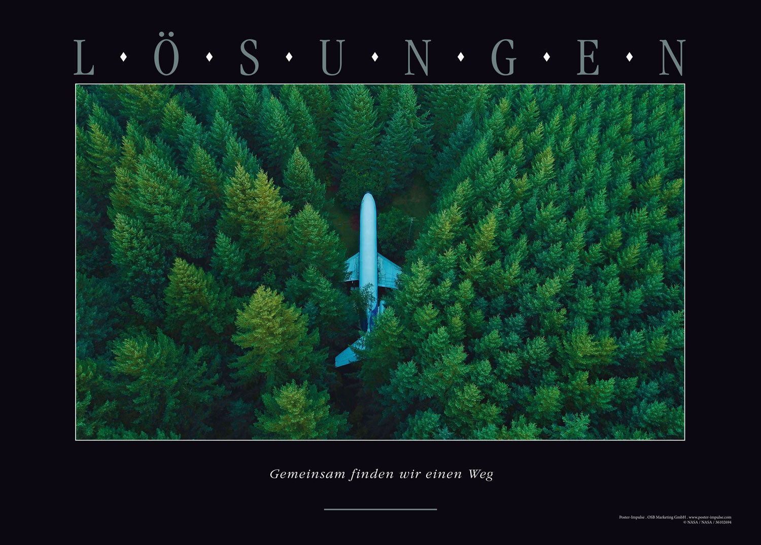 LÖSUNGEN - Motivationsposter mit Motiv Jet im Wald kaufen