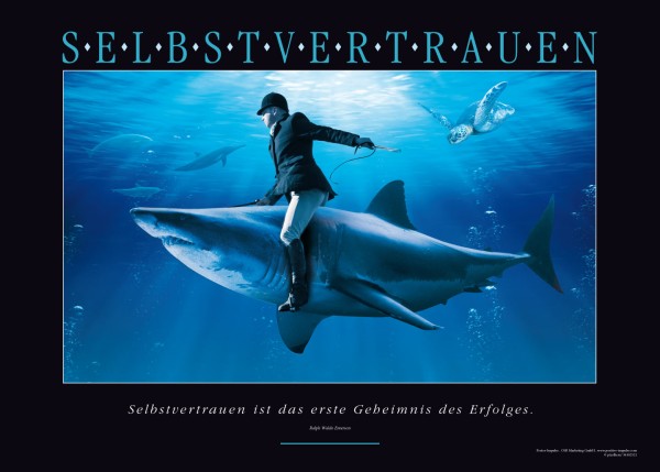 SELBSTVERTRAUEN Motivationsposter und Wandbild - Ansicht 2