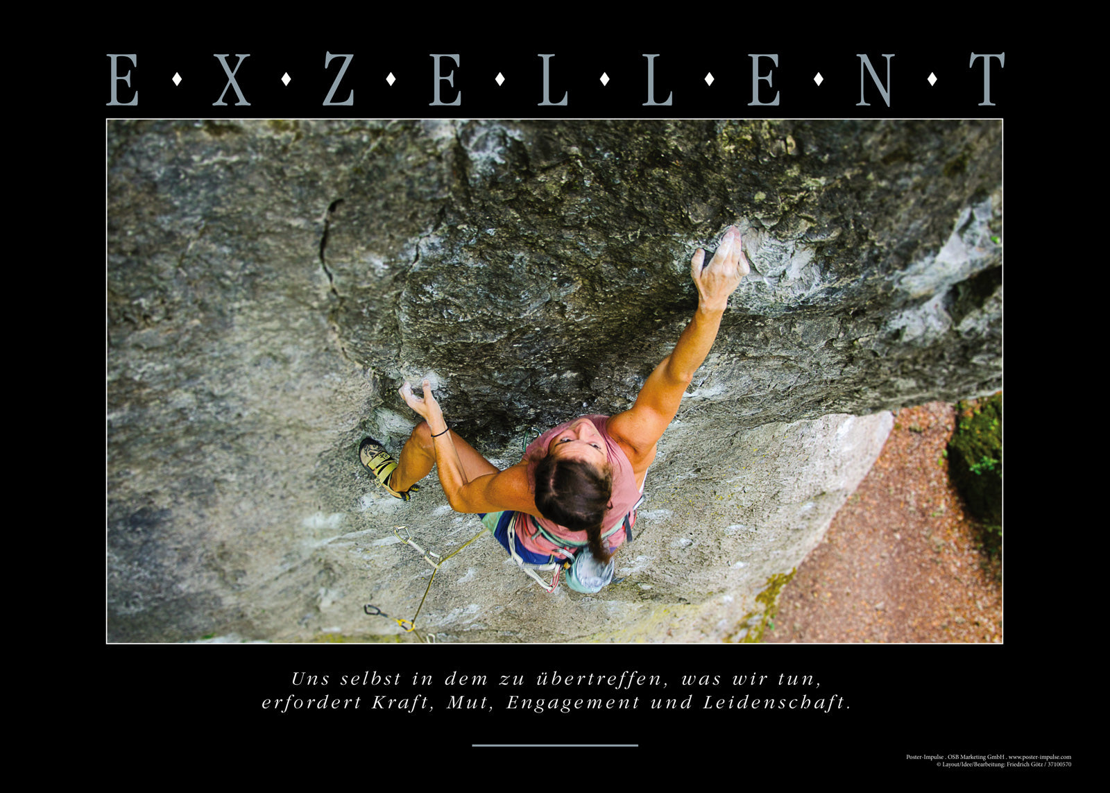 EXZELLENT - Motivationsbild Wandbild Kletterwand kaufen