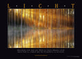 Wandbild LICHT - lichtdurchfluteter Wald