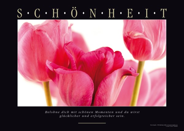 SCHÖNHEIT - Blumenbild - Ansicht 2