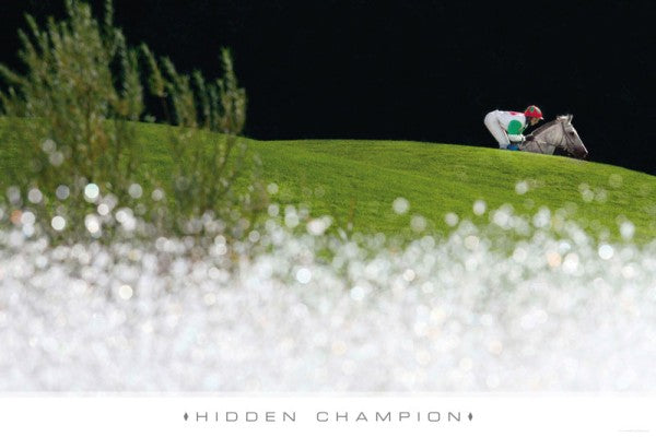 HIDDEN CHAMPION - Ansicht 2