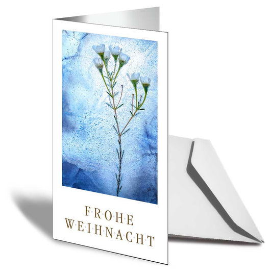 FROHE WEIHNACHTEN Grußkarten Eisblume 20er Set kaufen