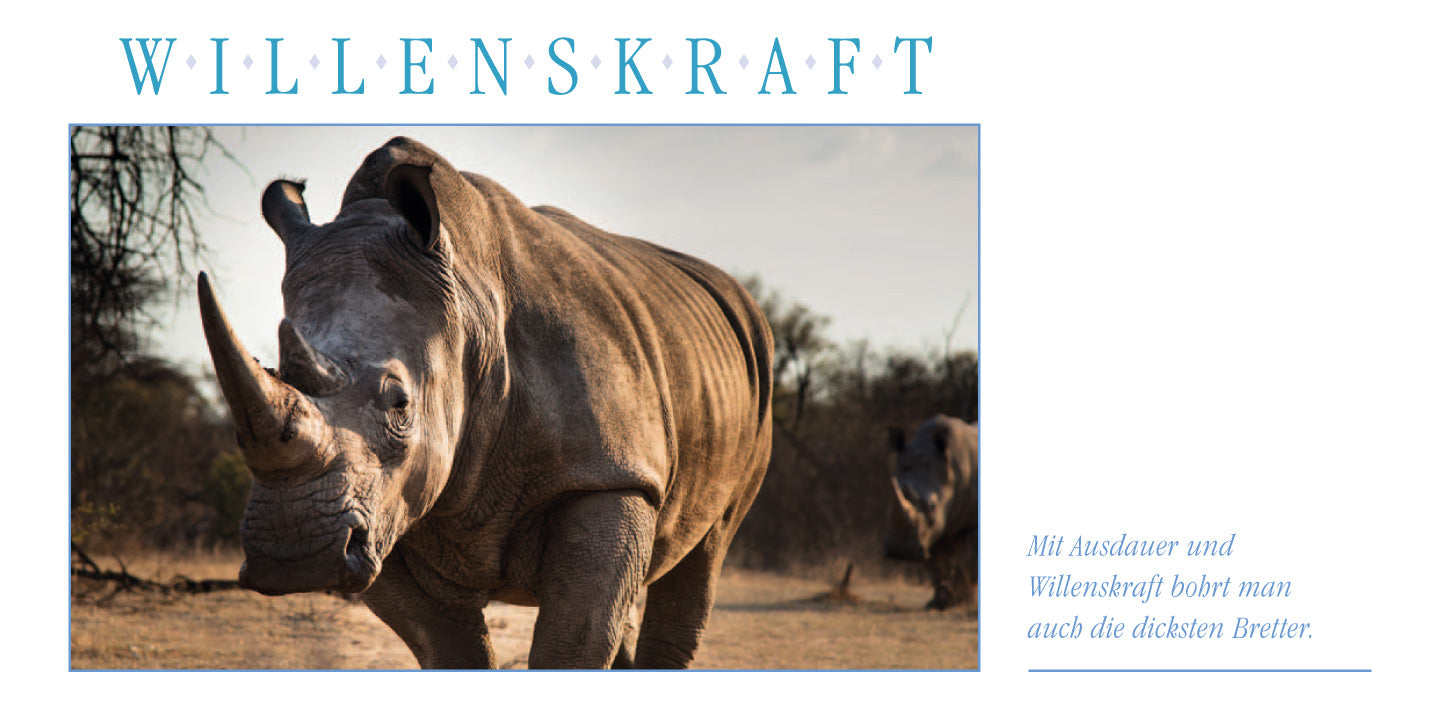 WILLENSSTÄRKE Grußkarte Nashorn kaufen