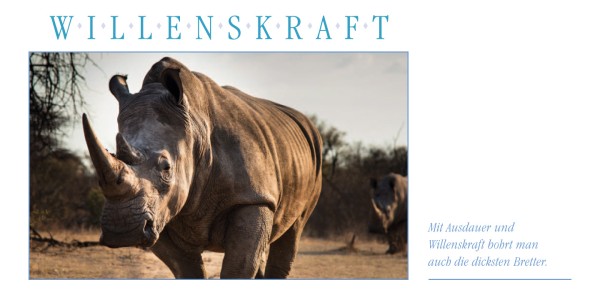 WILLENSSTÄRKE Grußkarte Nashorn - Ansicht 2